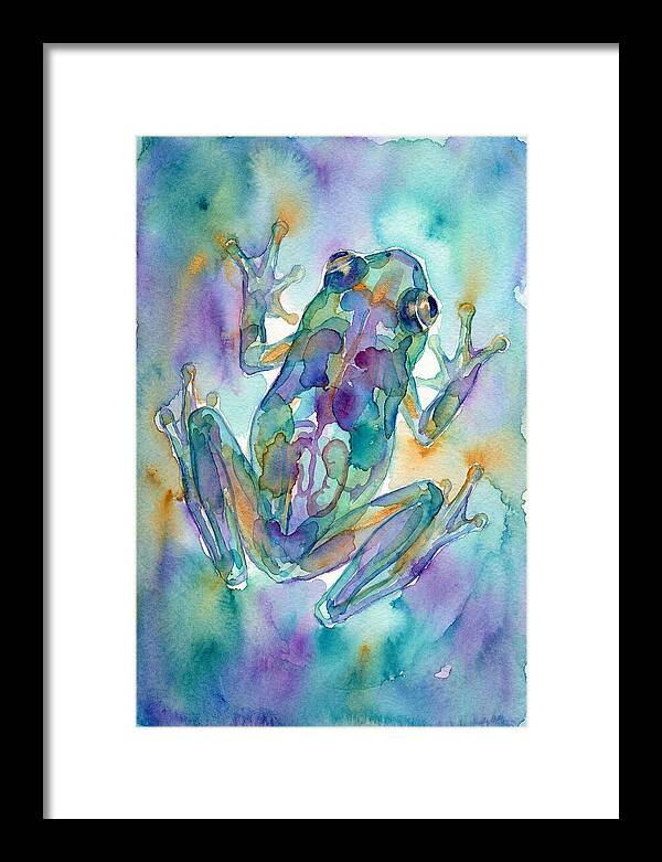 Glass Frog Serenity