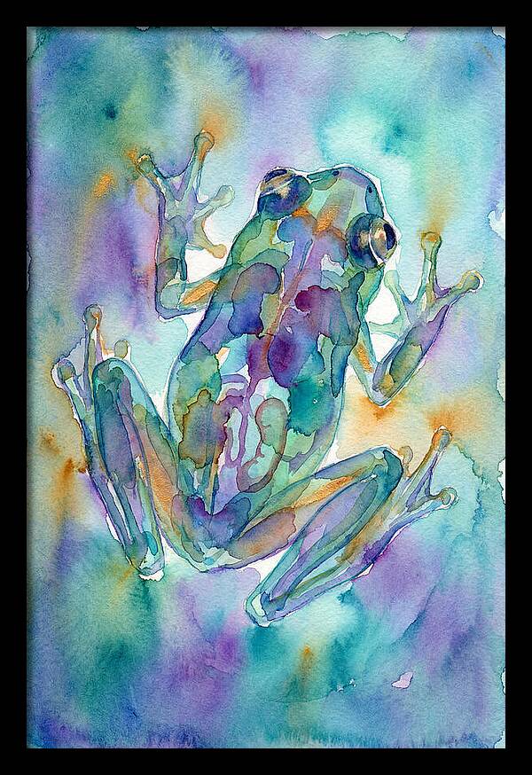 Glass Frog Serenity