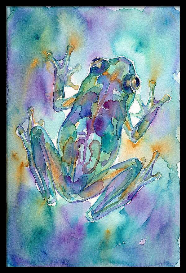 Glass Frog Serenity
