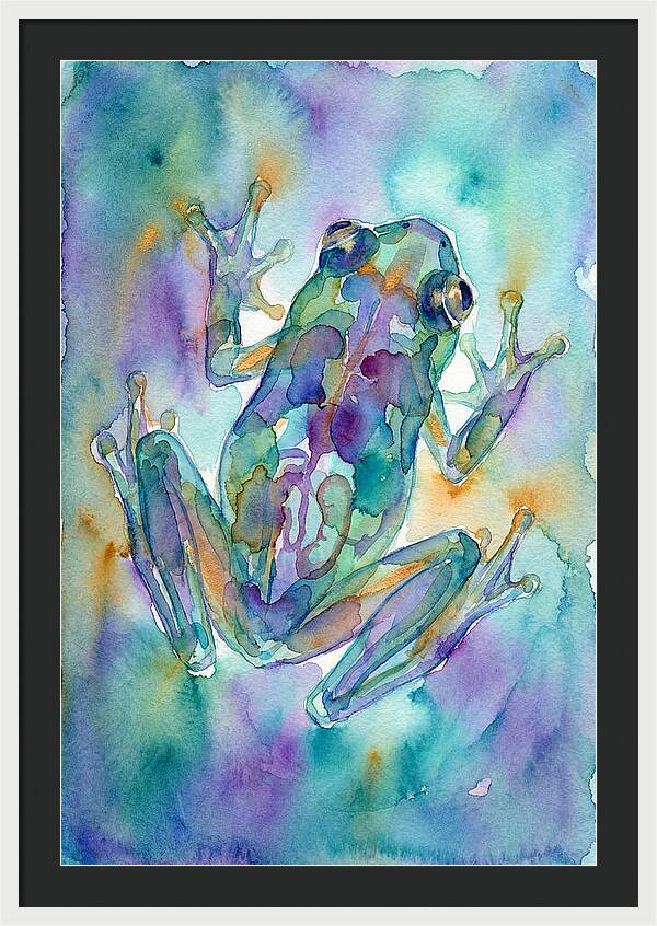 Glass Frog Serenity
