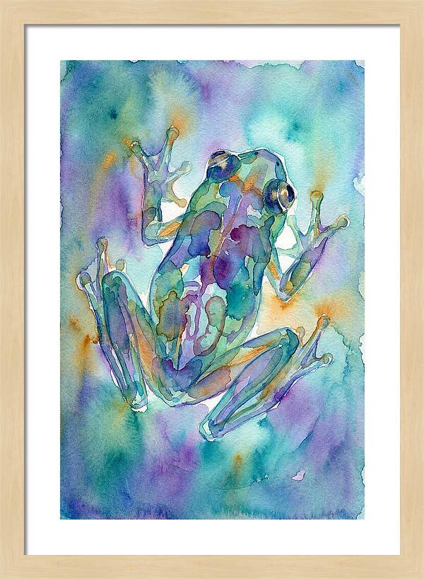 Glass Frog Serenity