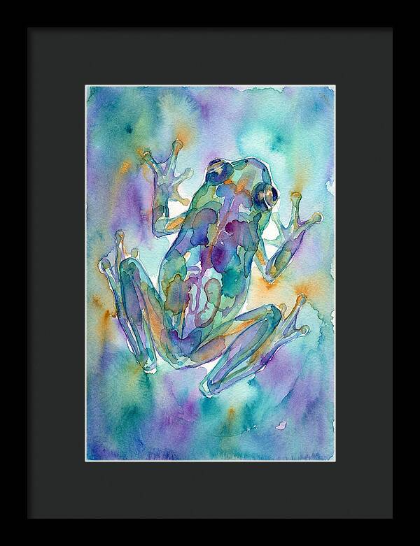 Glass Frog Serenity