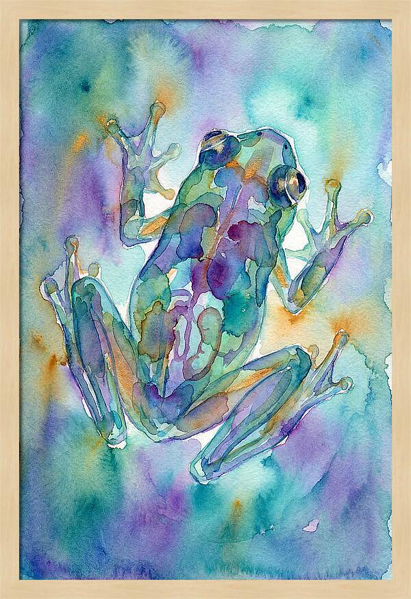 Glass Frog Serenity