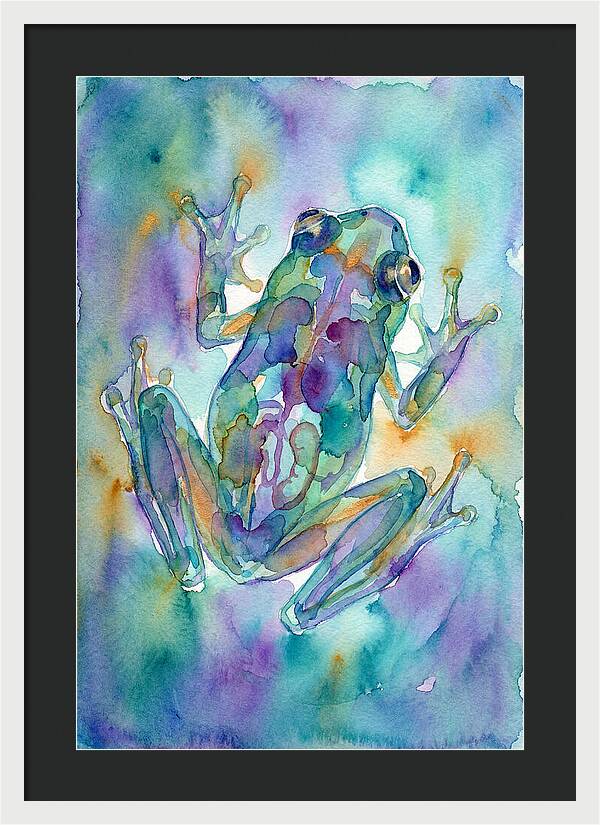 Glass Frog Serenity