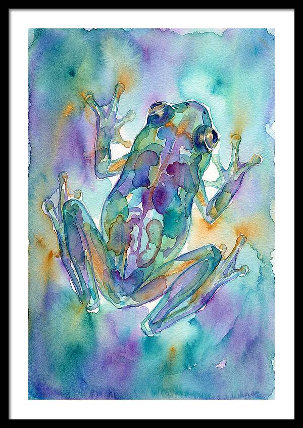 Glass Frog Serenity