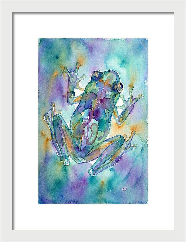 Glass Frog Serenity