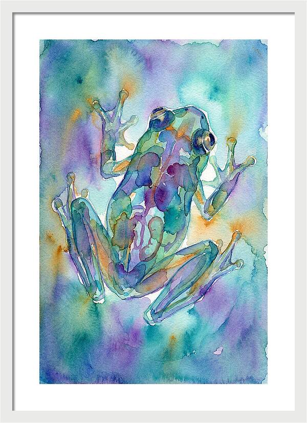 Glass Frog Serenity