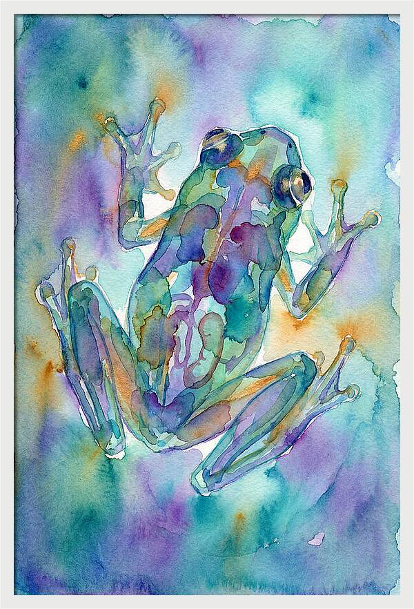Glass Frog Serenity