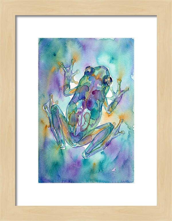 Glass Frog Serenity