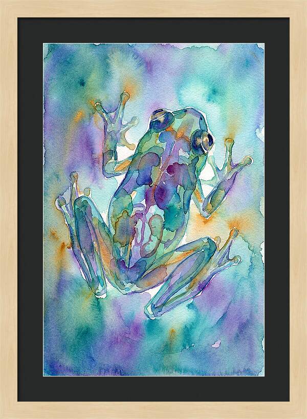 Glass Frog Serenity