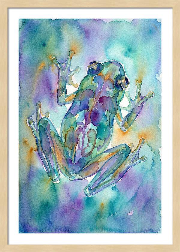 Glass Frog Serenity