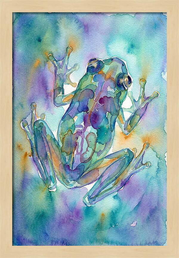 Glass Frog Serenity