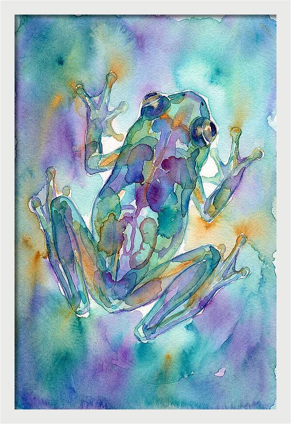 Glass Frog Serenity