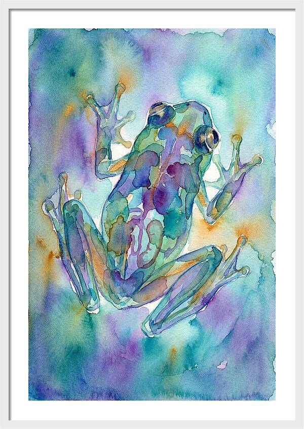 Glass Frog Serenity