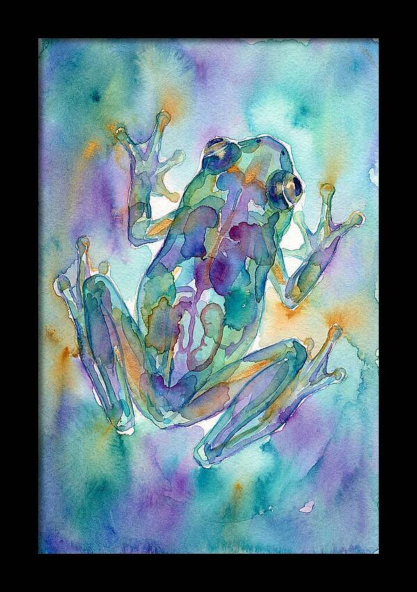 Glass Frog Serenity