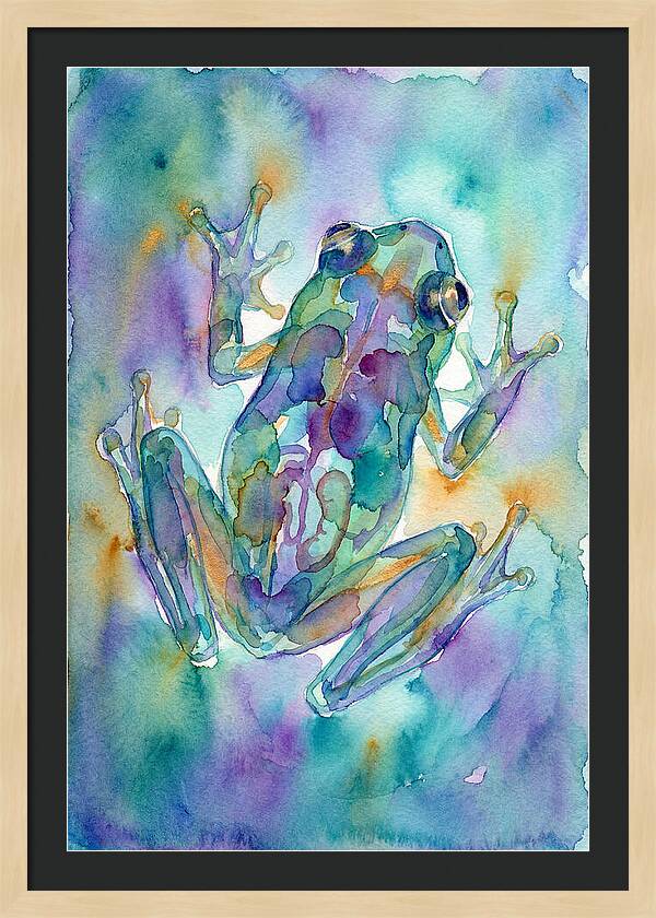 Glass Frog Serenity