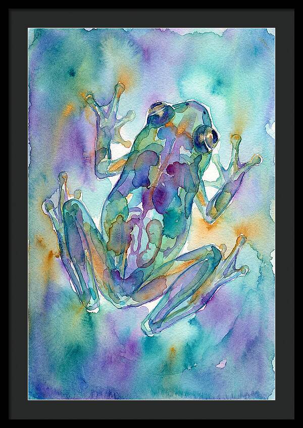 Glass Frog Serenity