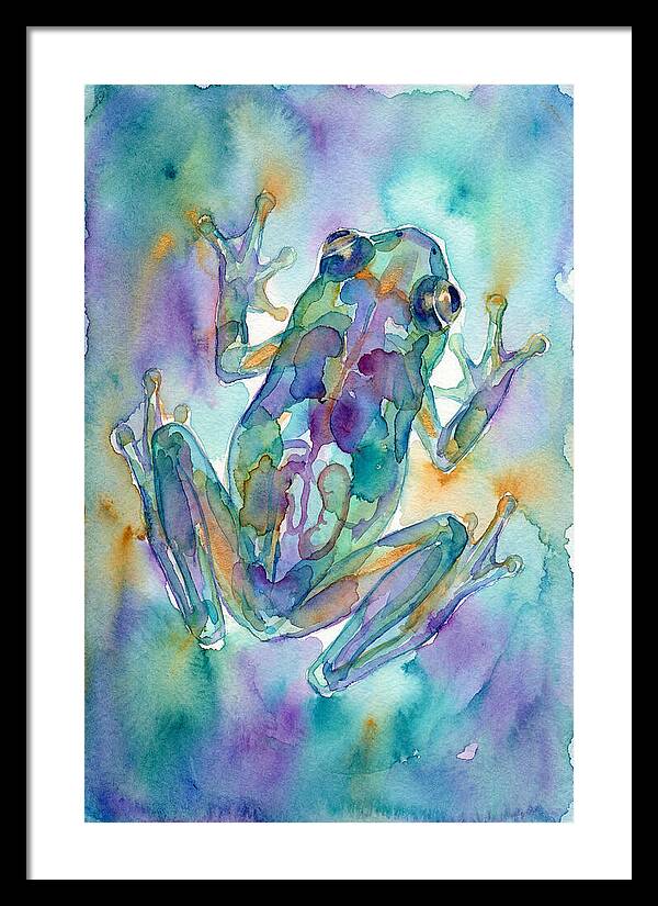 Glass Frog Serenity