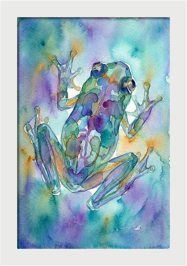 Glass Frog Serenity