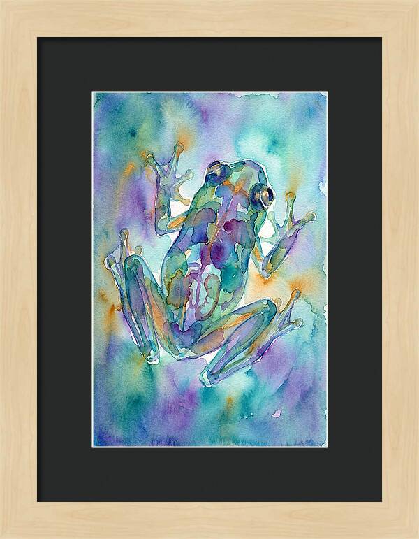 Glass Frog Serenity