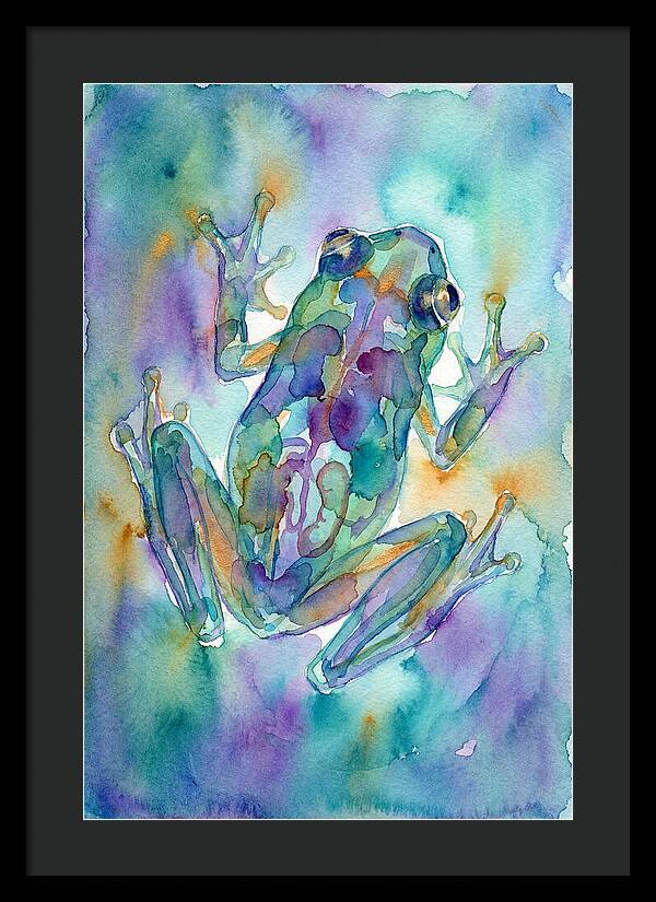 Glass Frog Serenity