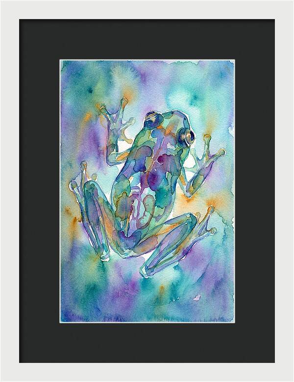 Glass Frog Serenity