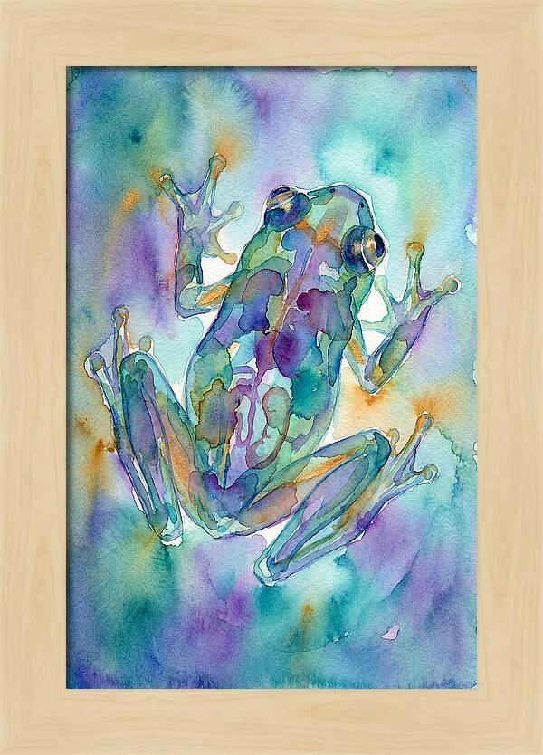 Glass Frog Serenity