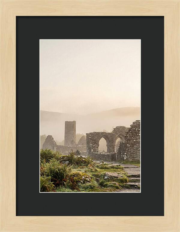 Glendalough Monastic Ruins At Dawn