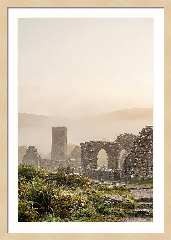 Glendalough Monastic Ruins At Dawn