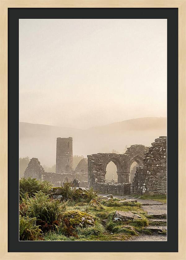 Glendalough Monastic Ruins At Dawn