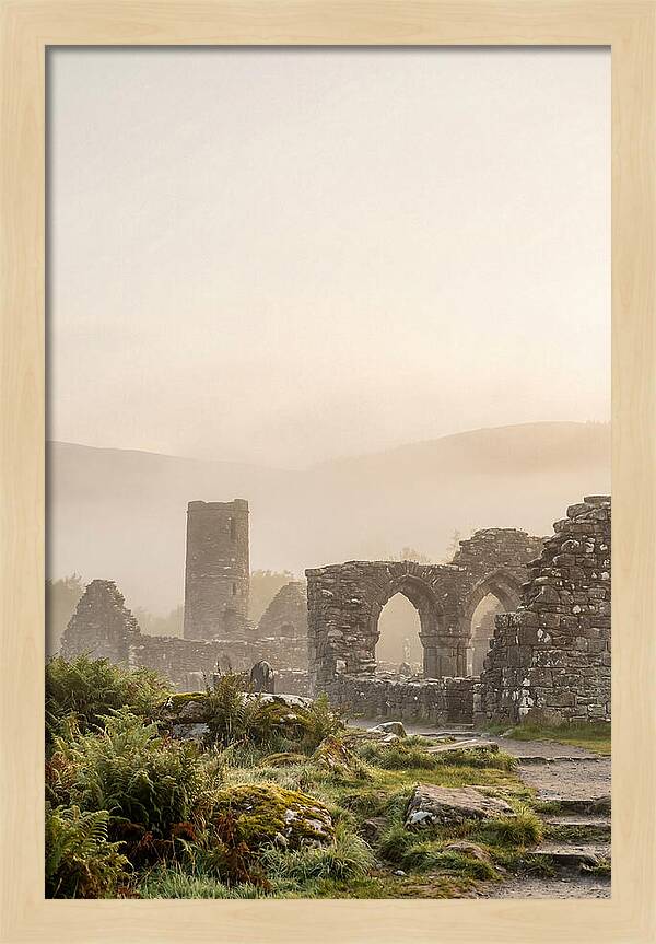Glendalough Monastic Ruins At Dawn