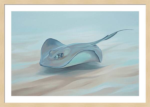 Gliding Through Tranquil Waters