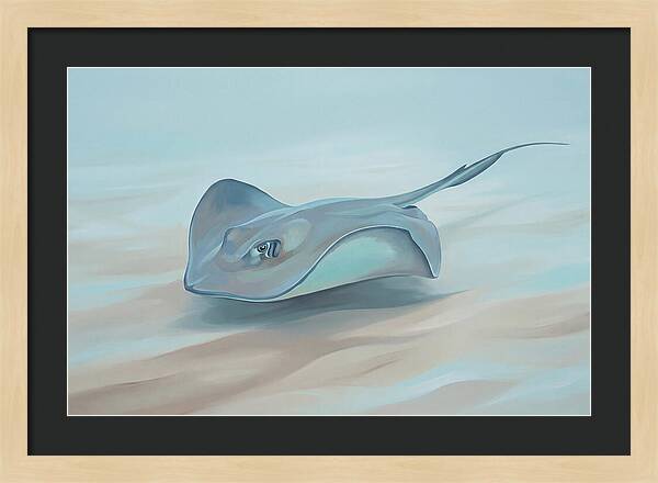 Gliding Through Tranquil Waters