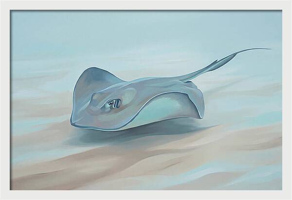 Gliding Through Tranquil Waters