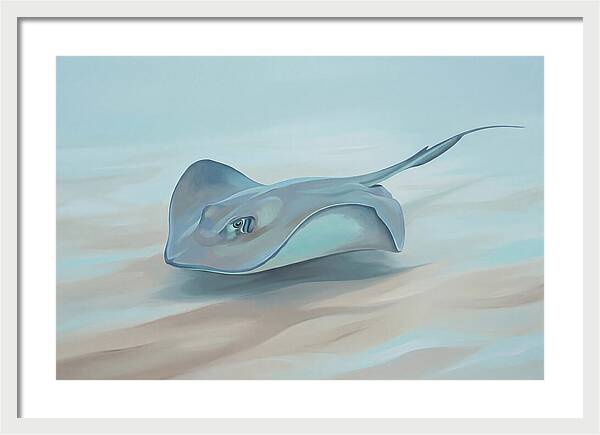 Gliding Through Tranquil Waters