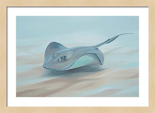 Gliding Through Tranquil Waters
