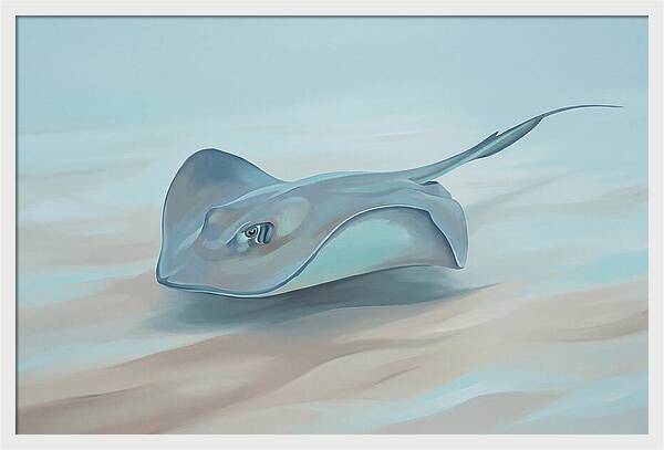 Gliding Through Tranquil Waters