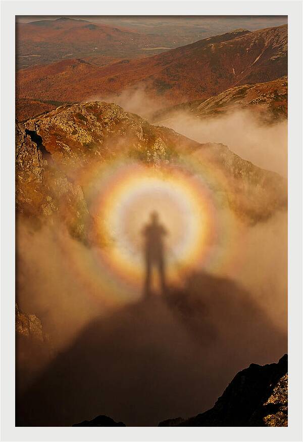 Glory Ring Around Shadow