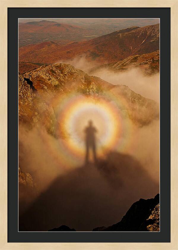 Glory Ring Around Shadow
