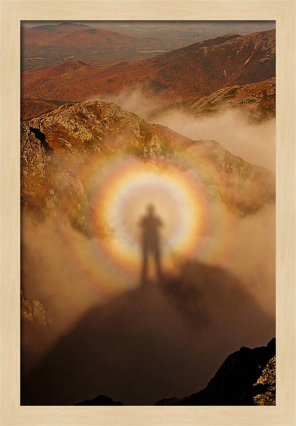 Glory Ring Around Shadow