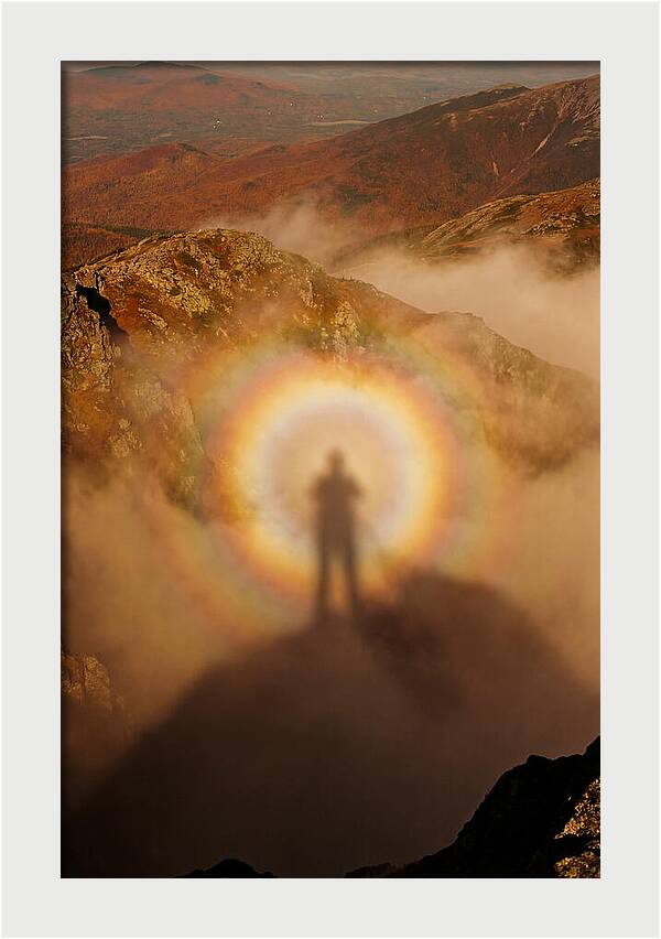 Glory Ring Around Shadow