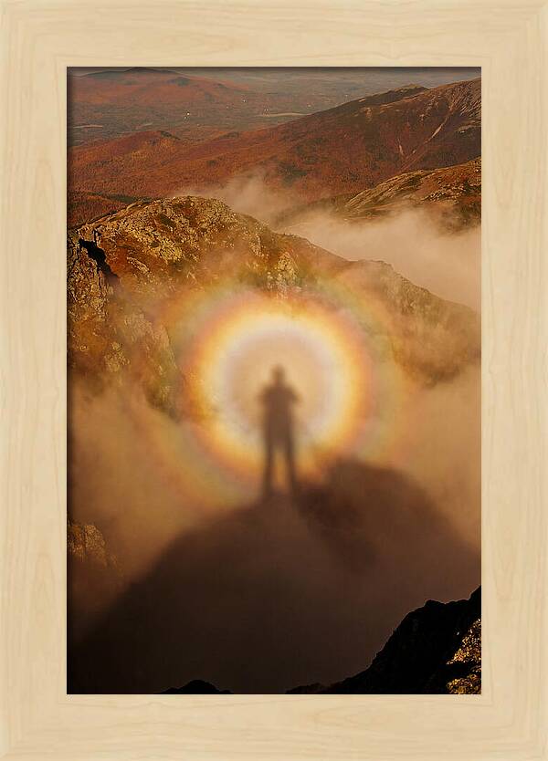 Glory Ring Around Shadow