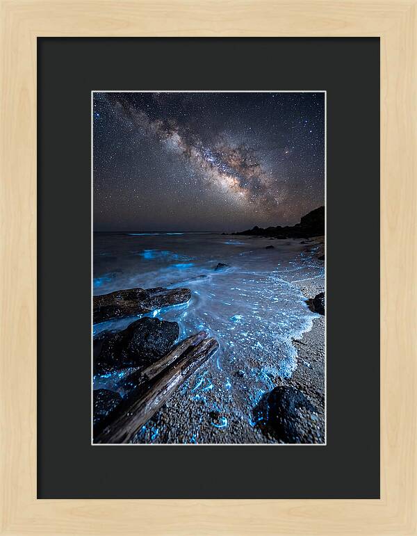 Glowing Tides Beneath Celestial Skies