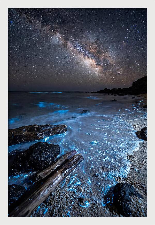 Glowing Tides Beneath Celestial Skies