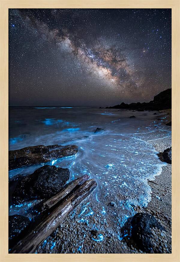 Glowing Tides Beneath Celestial Skies