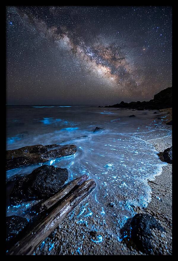 Glowing Tides Beneath Celestial Skies