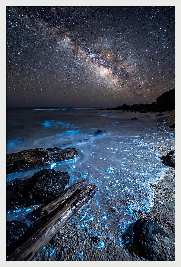 Glowing Tides Beneath Celestial Skies