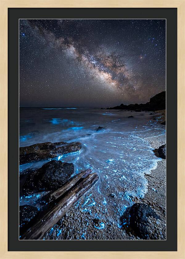 Glowing Tides Beneath Celestial Skies