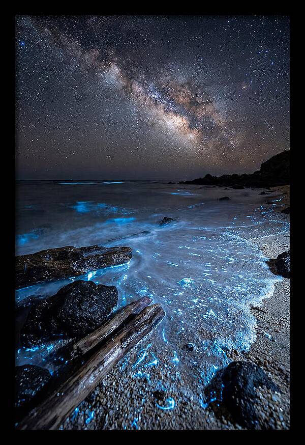 Glowing Tides Beneath Celestial Skies