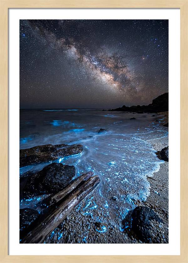 Glowing Tides Beneath Celestial Skies